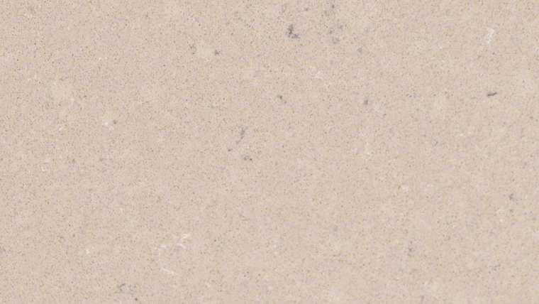 Fossil Taupe